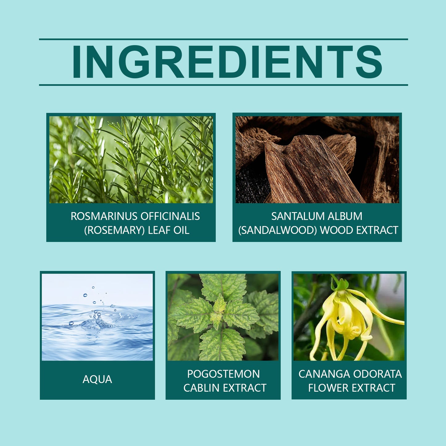 Charm Ball Pheromone Perfume – Natural Light Fragrance for Sex Appeal & Daily Dating